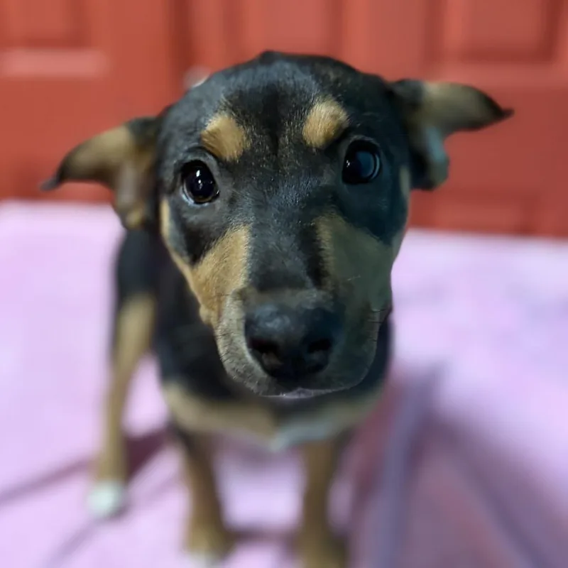 Navigator thumbnail 3