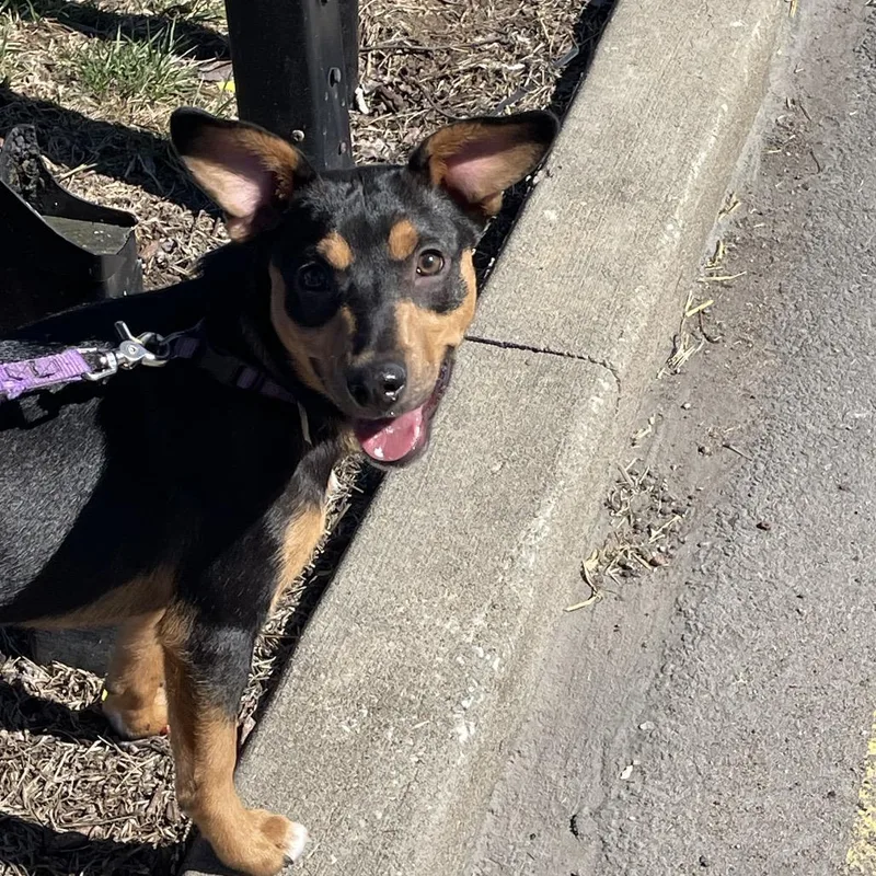 Navigator thumbnail 4