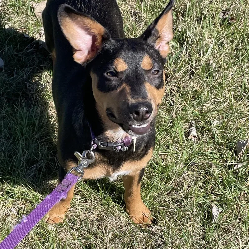 Navigator thumbnail 5