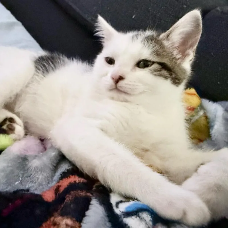 Perseverance thumbnail 6