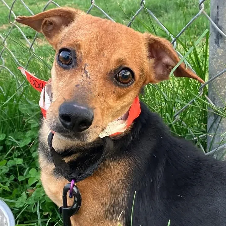 Vancouver thumbnail 2