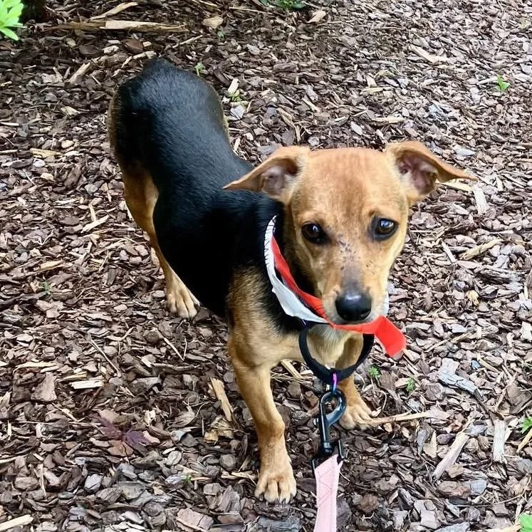 Vancouver thumbnail 3