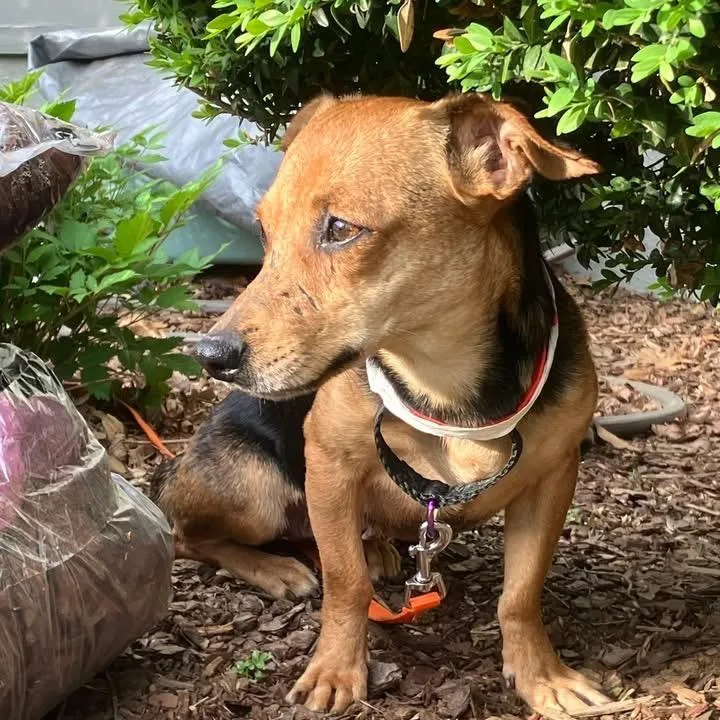 Vancouver thumbnail 4