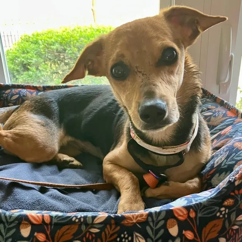 Vancouver thumbnail 5