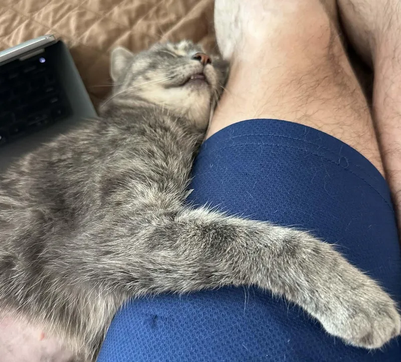 Veronica thumbnail 2