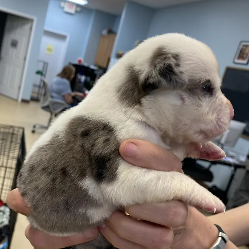 Lafayette thumbnail 2