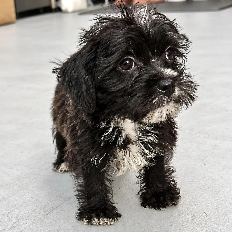 Baby Walter thumbnail 3