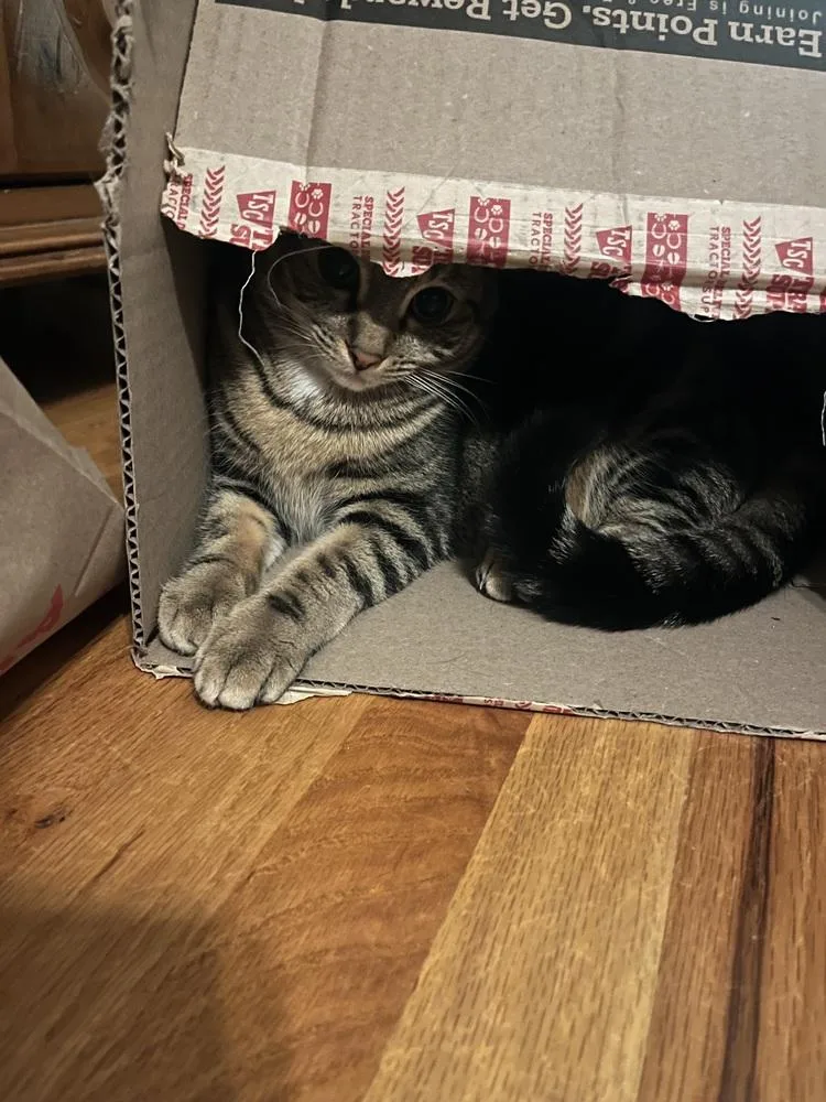 Leabonded With Fiona