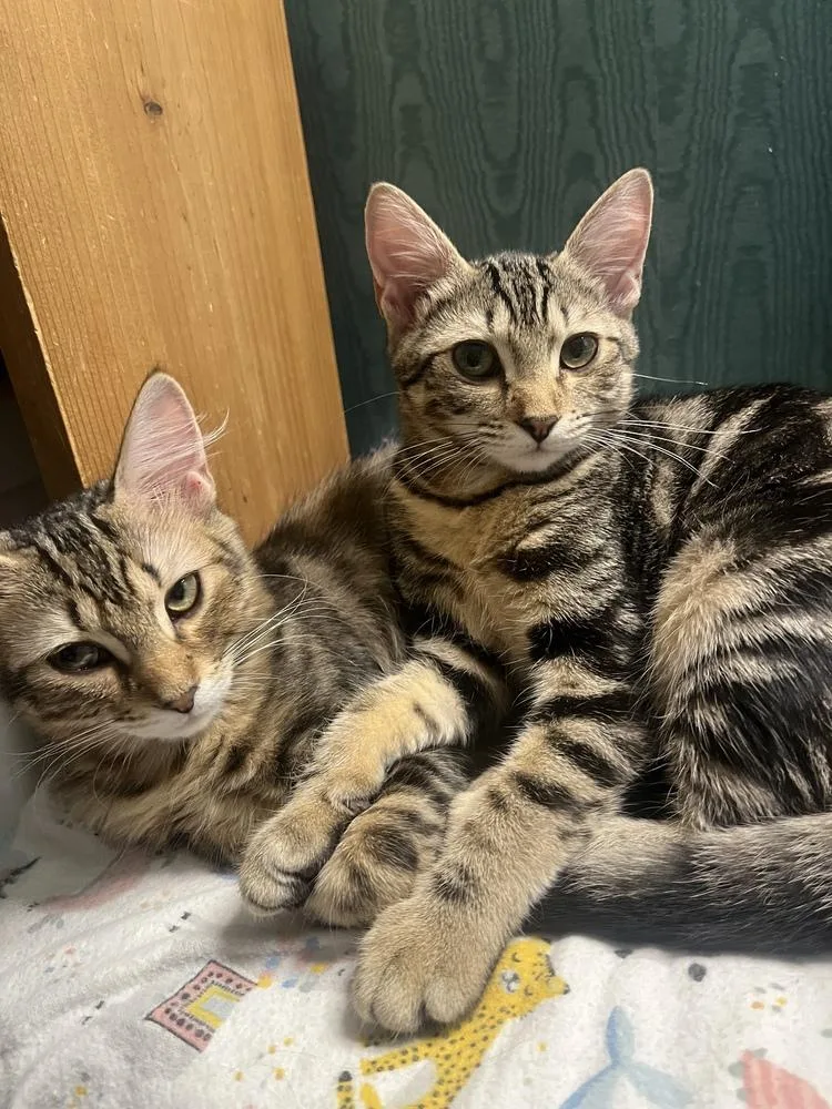 Leabonded With Fiona thumbnail 2