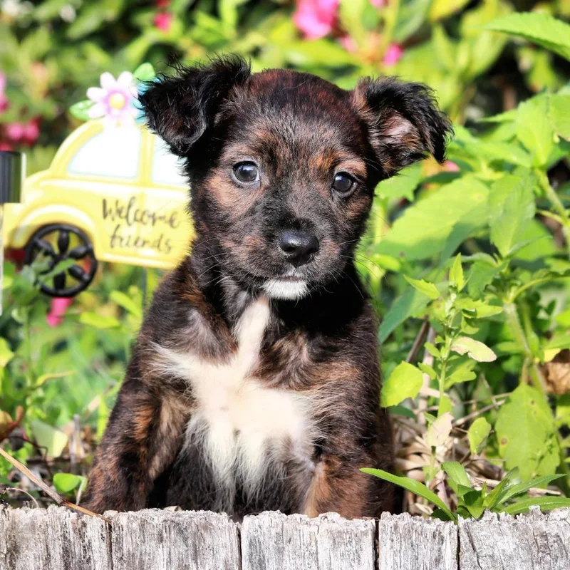 Ct Hazel Avail Jun thumbnail 2