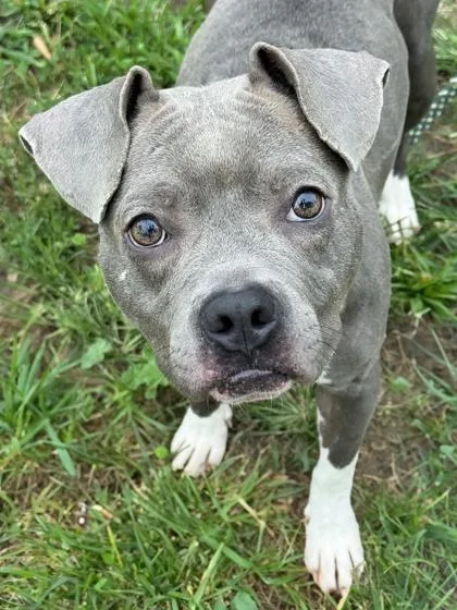 Baby Girl thumbnail 2