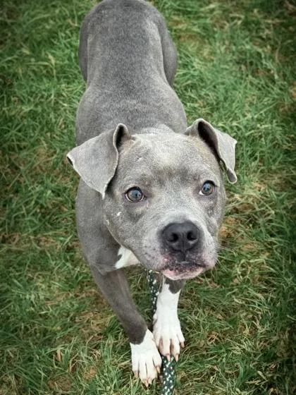 Baby Girl thumbnail 4