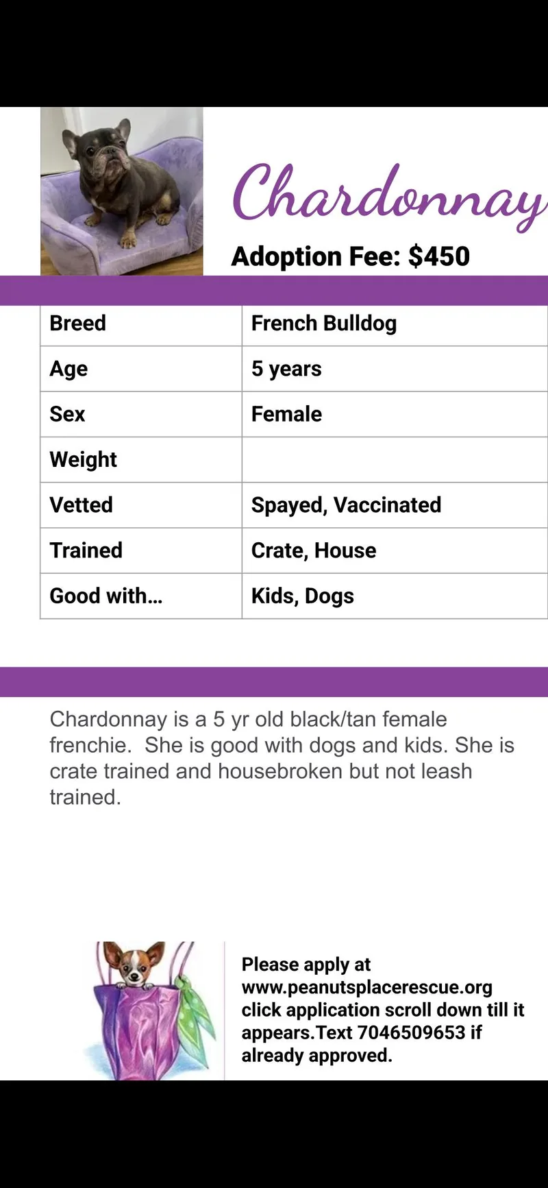 Chardonnay thumbnail 2