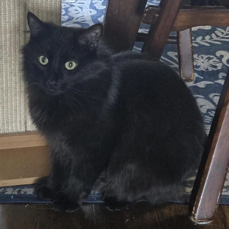 Cousin Fred  Twice thumbnail 4