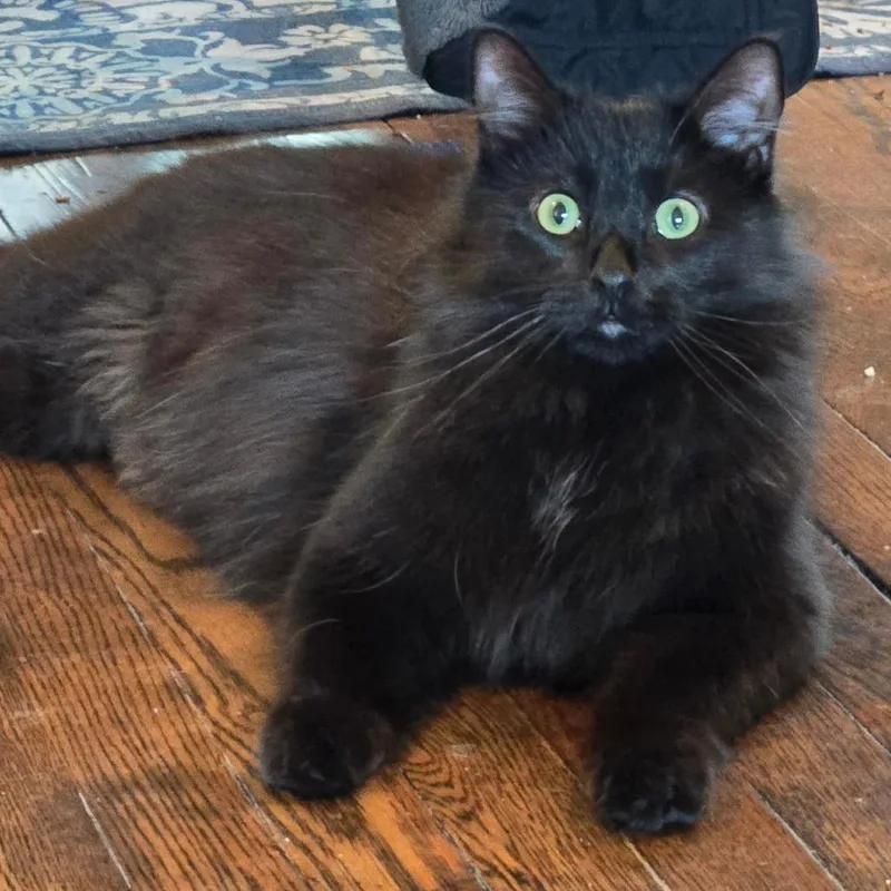 Cousin Fred  Twice thumbnail 5