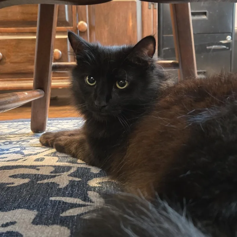 Cousin Fred  Twice thumbnail 6