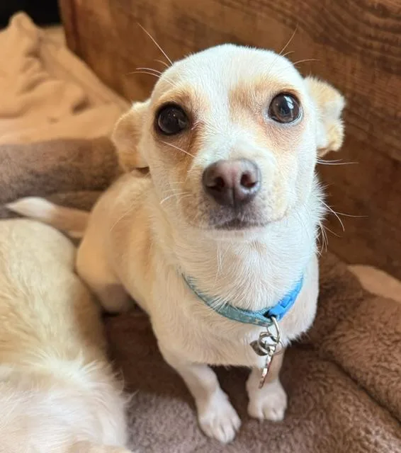 Gator thumbnail 6
