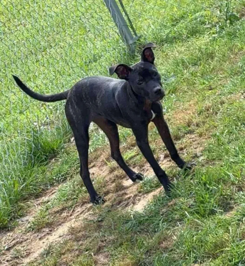 Nora Lea thumbnail 2