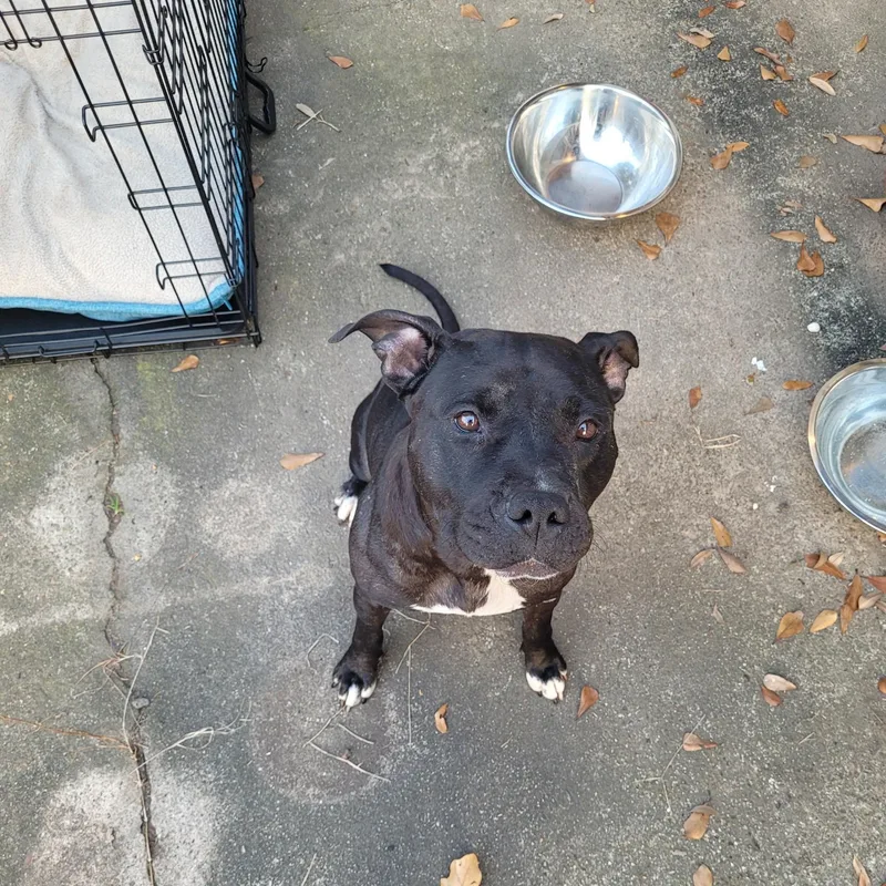 Jenny Lewis thumbnail 3