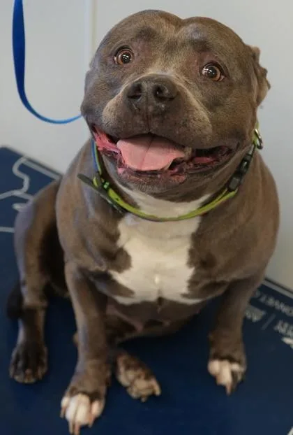 Harley Dale thumbnail 2