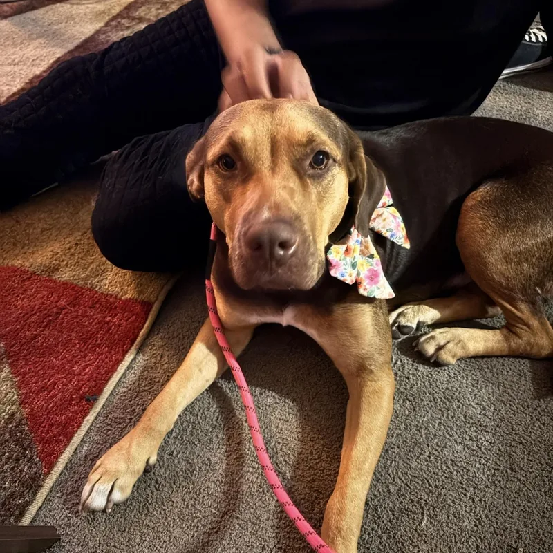 Luna Mae