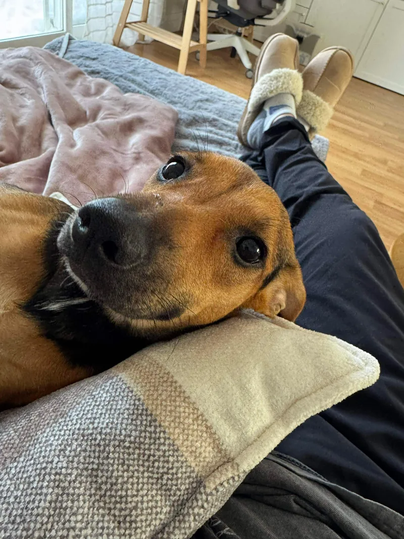 Pearletta thumbnail 5