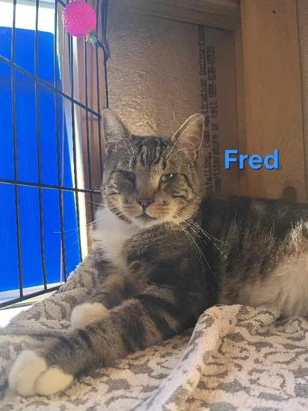Fred thumbnail 2