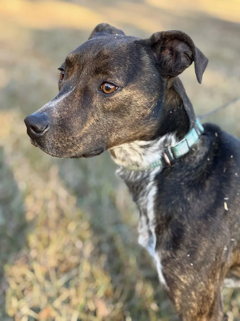 Mary Ellen thumbnail 3