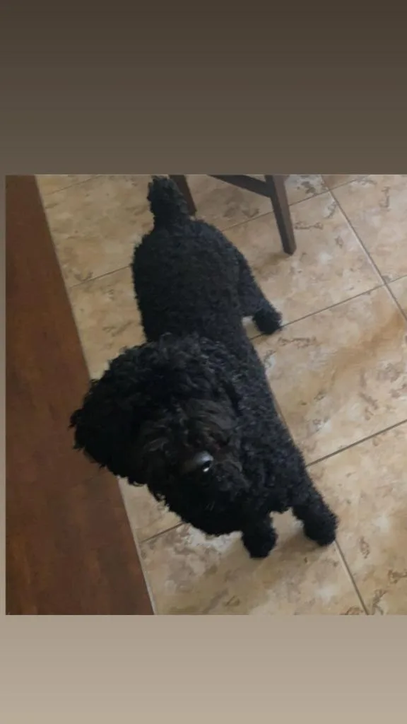 Sophie