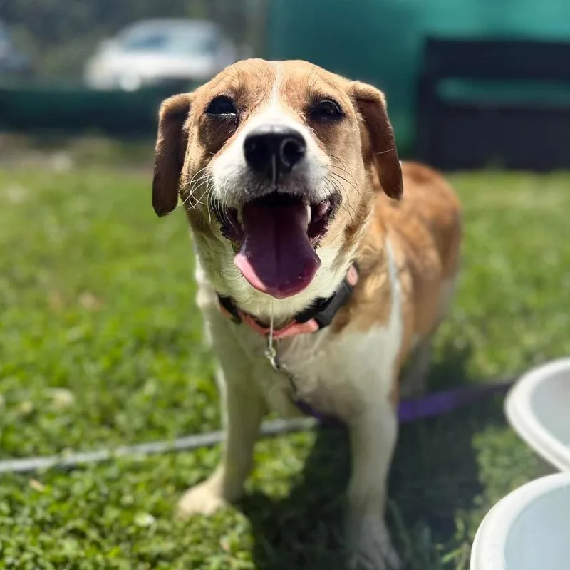 Fiona