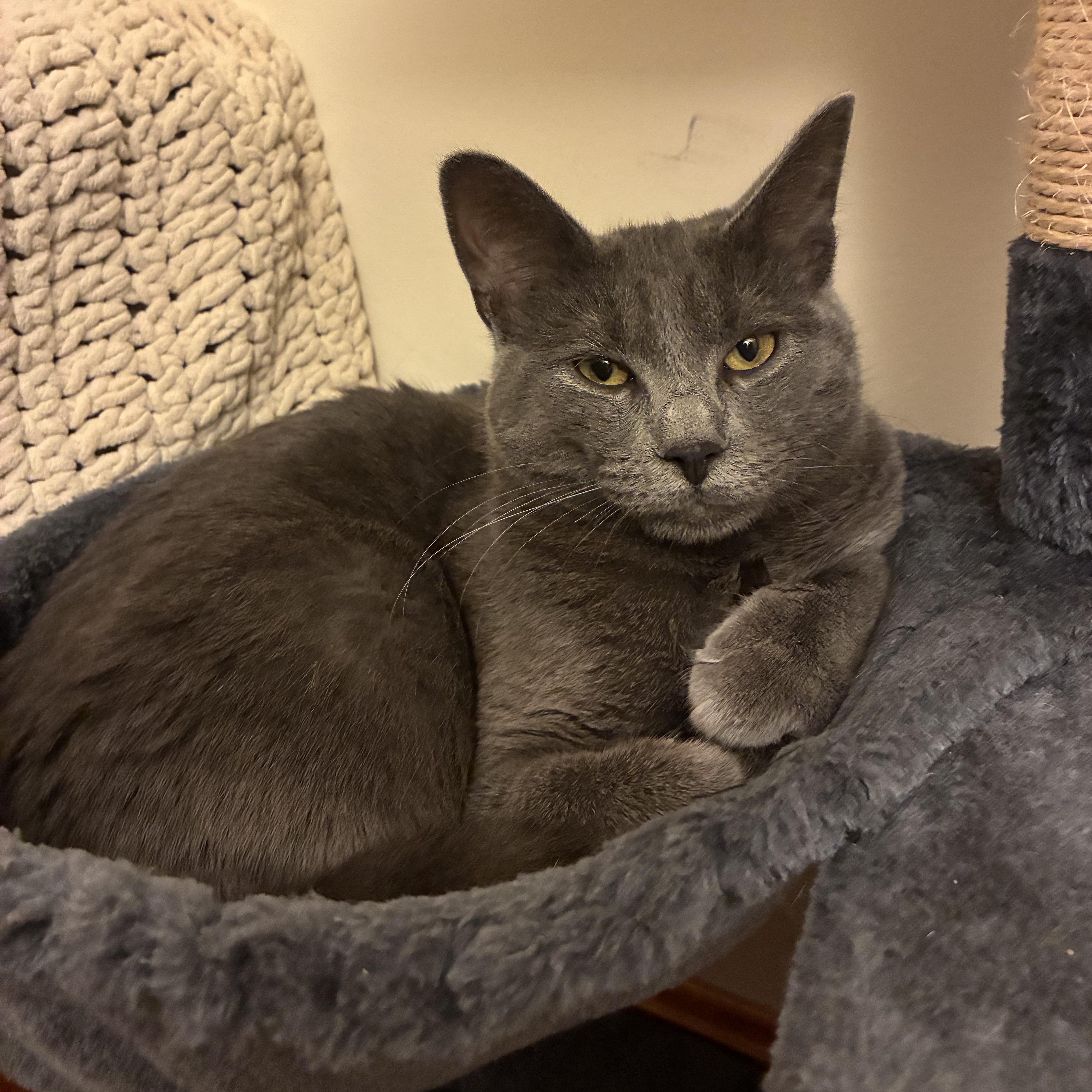 Benedict Aka Benny thumbnail 2