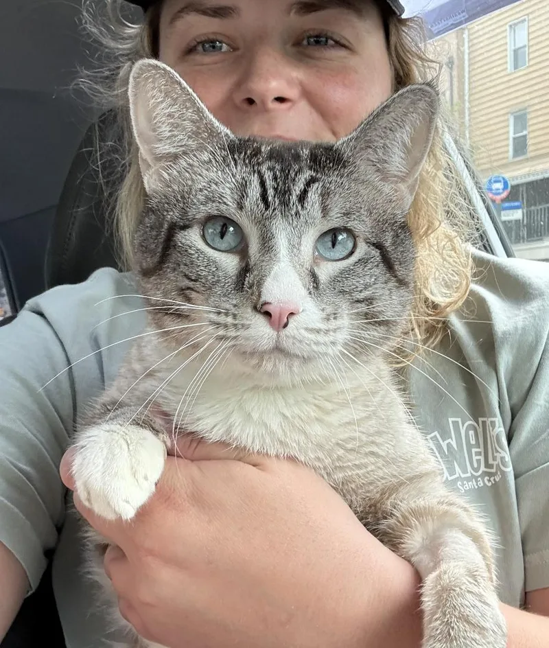 Dow Jones thumbnail 3