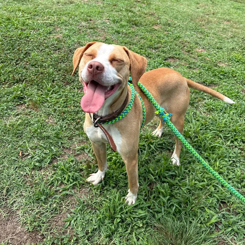 Eden thumbnail 4