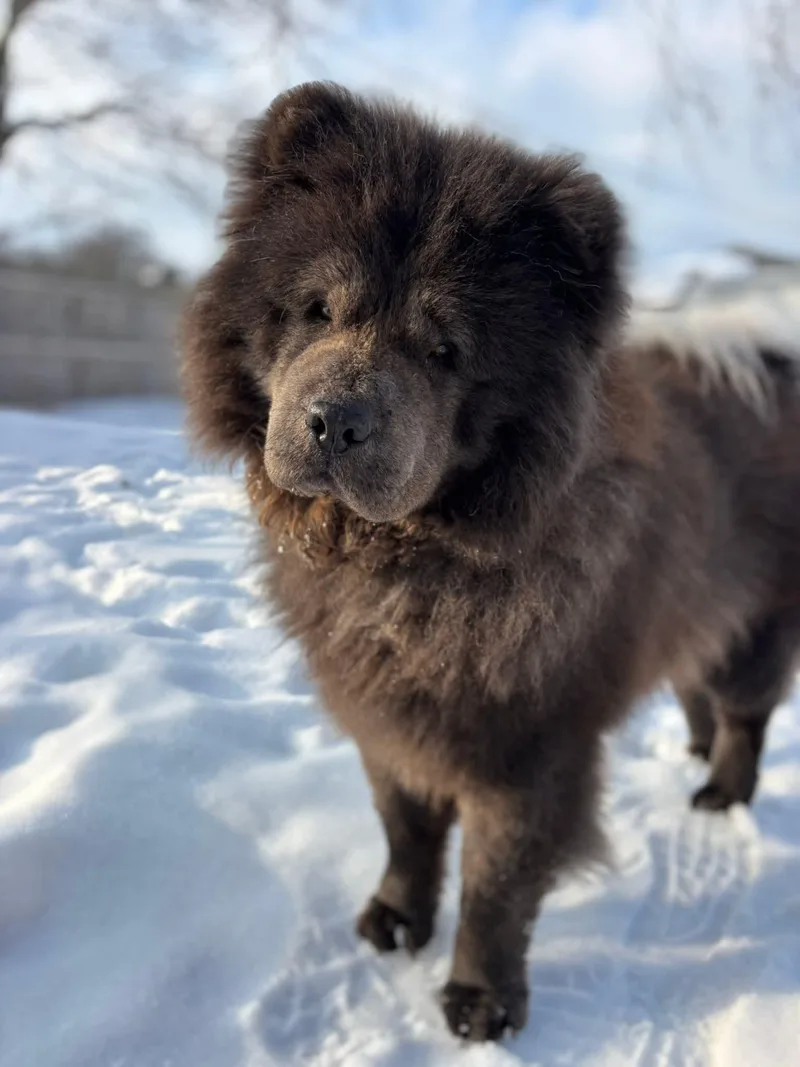 Hope & Hugo thumbnail 2