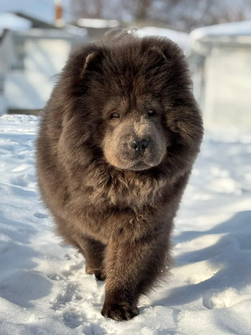 Hope & Hugo thumbnail 5