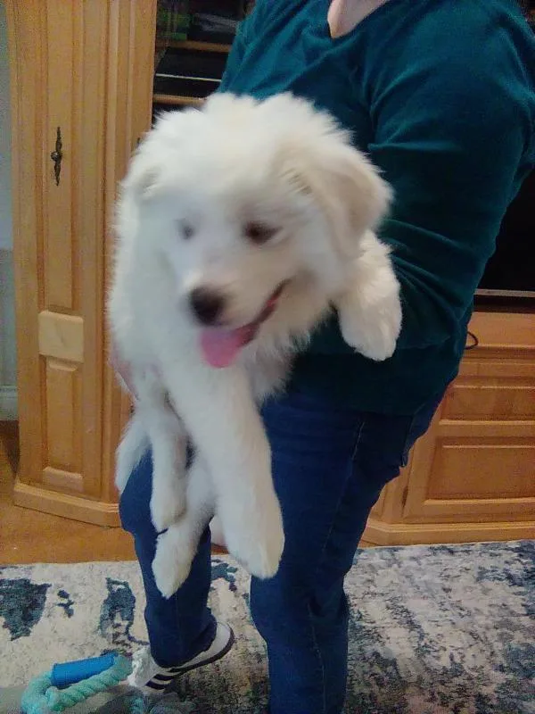 Murphy
