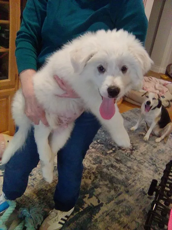Murphy thumbnail 2