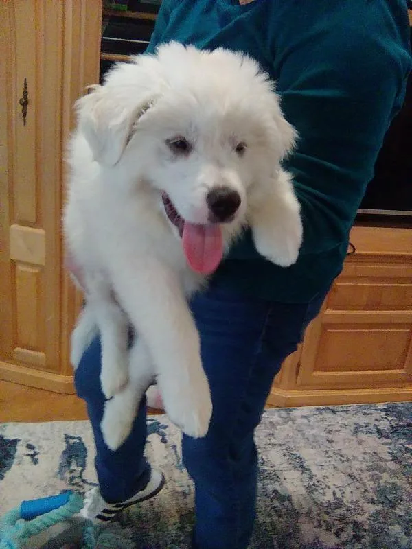 Murphy thumbnail 4