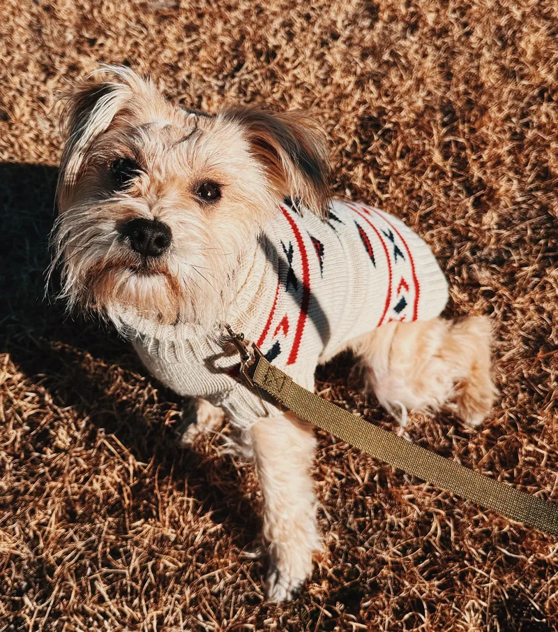 Stephanie thumbnail 2