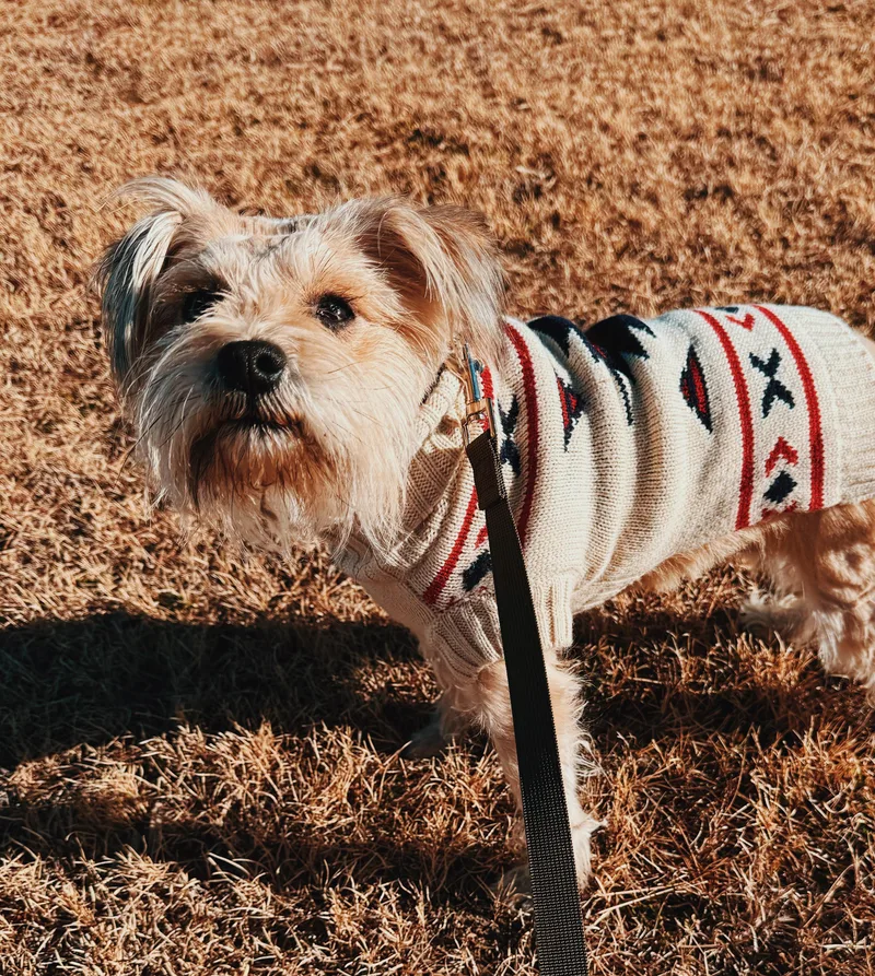 Stephanie thumbnail 3