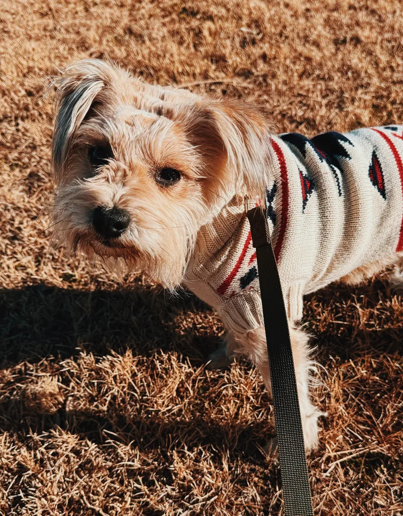 Stephanie thumbnail 5