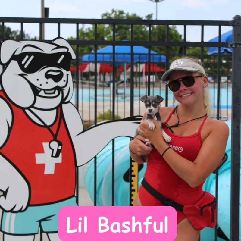 Lil Bashful thumbnail 3
