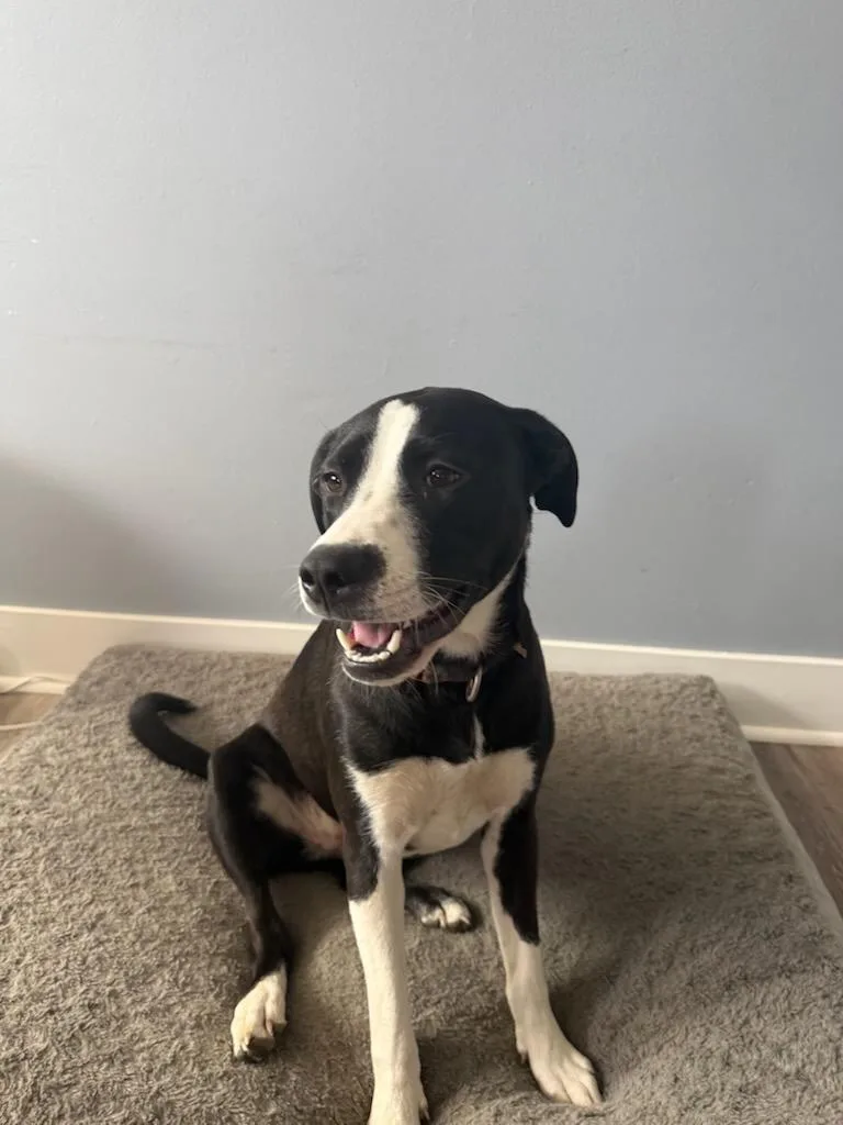 Zzz_tiny_courtesy thumbnail 2