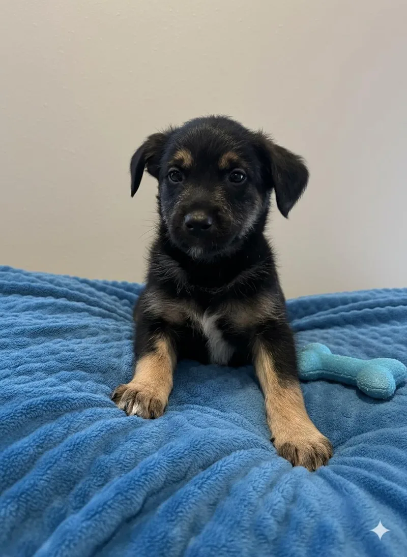 Guinness thumbnail 3