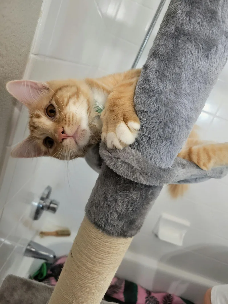 Squirt