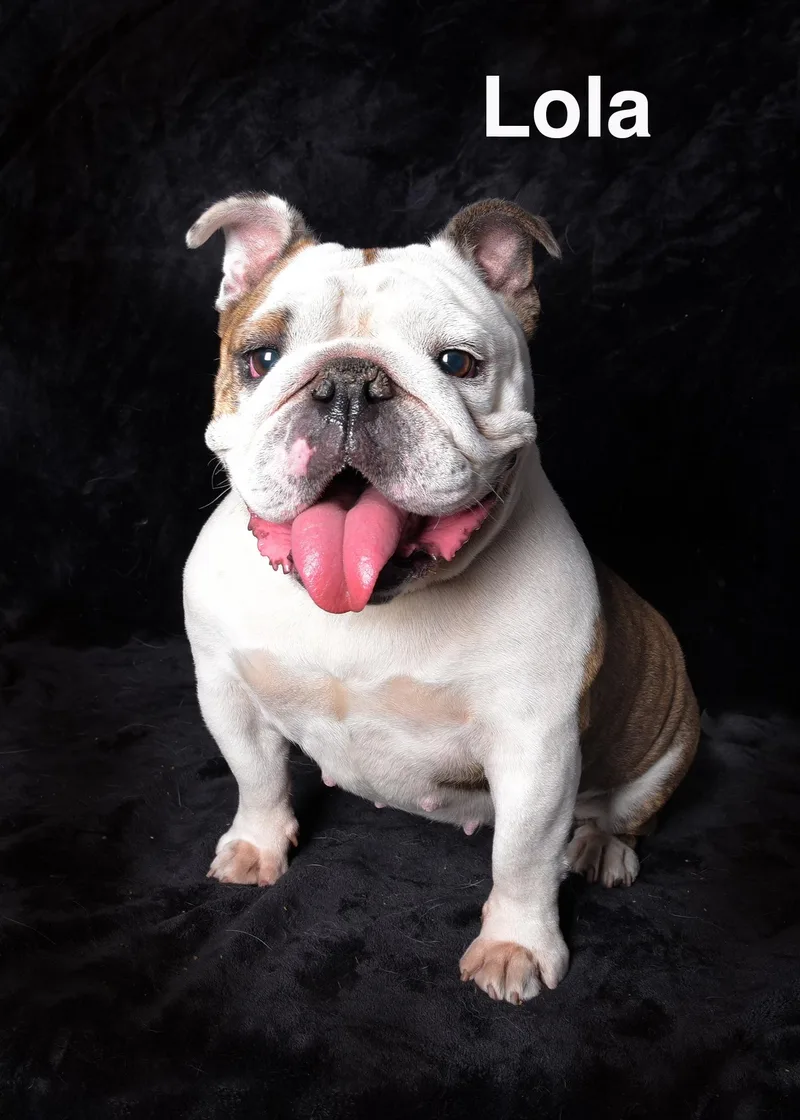Lola