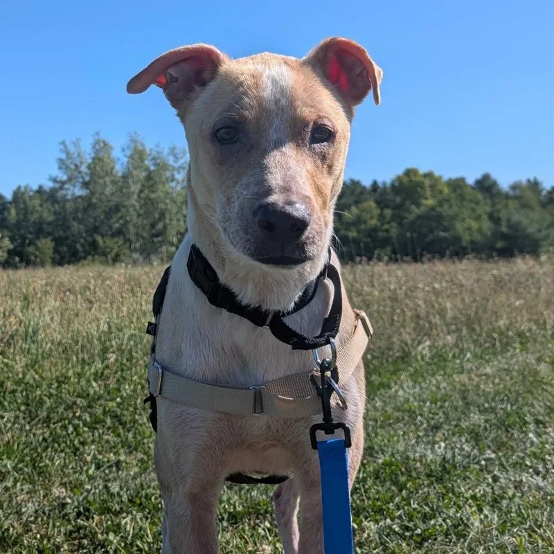 Axel thumbnail 5