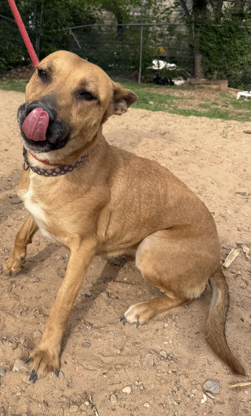 Tiffany Biffany thumbnail 3