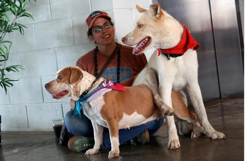 Peppa Pka Sasha thumbnail 2