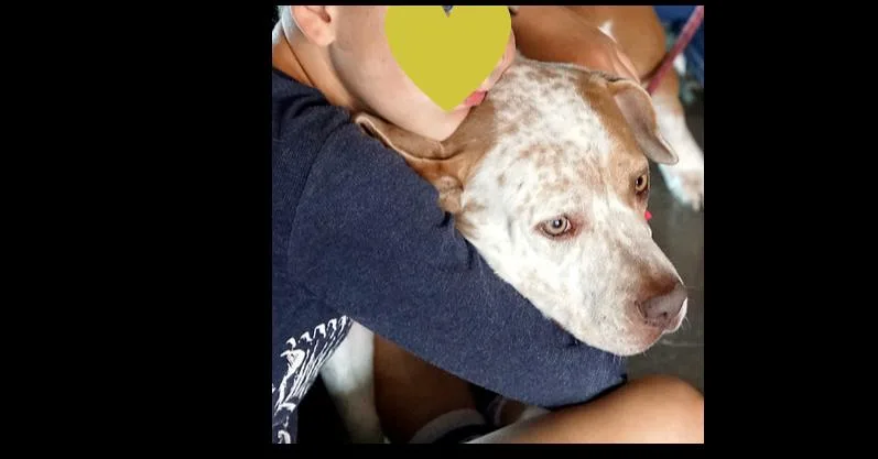 Peppa Pka Sasha thumbnail 6